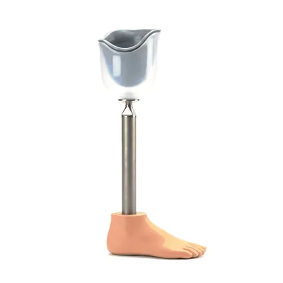 Prosthetic devices: example product photo